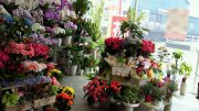 「フラワーショップさかい有家店」　（長崎県南島原市）の花屋店舗写真2
